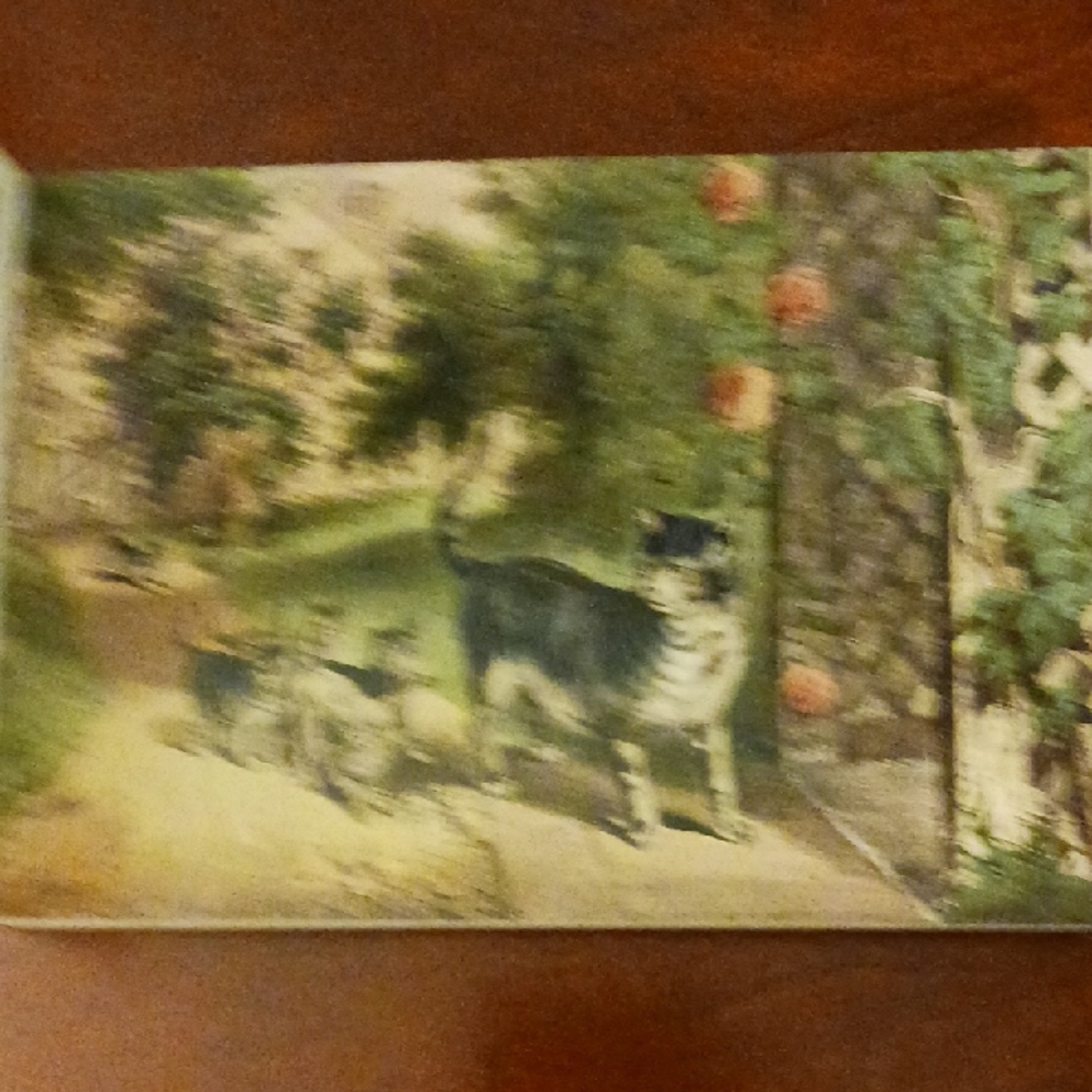 SPECIAL 2/$25 Cats Postcard Book - Picture 4 of 6